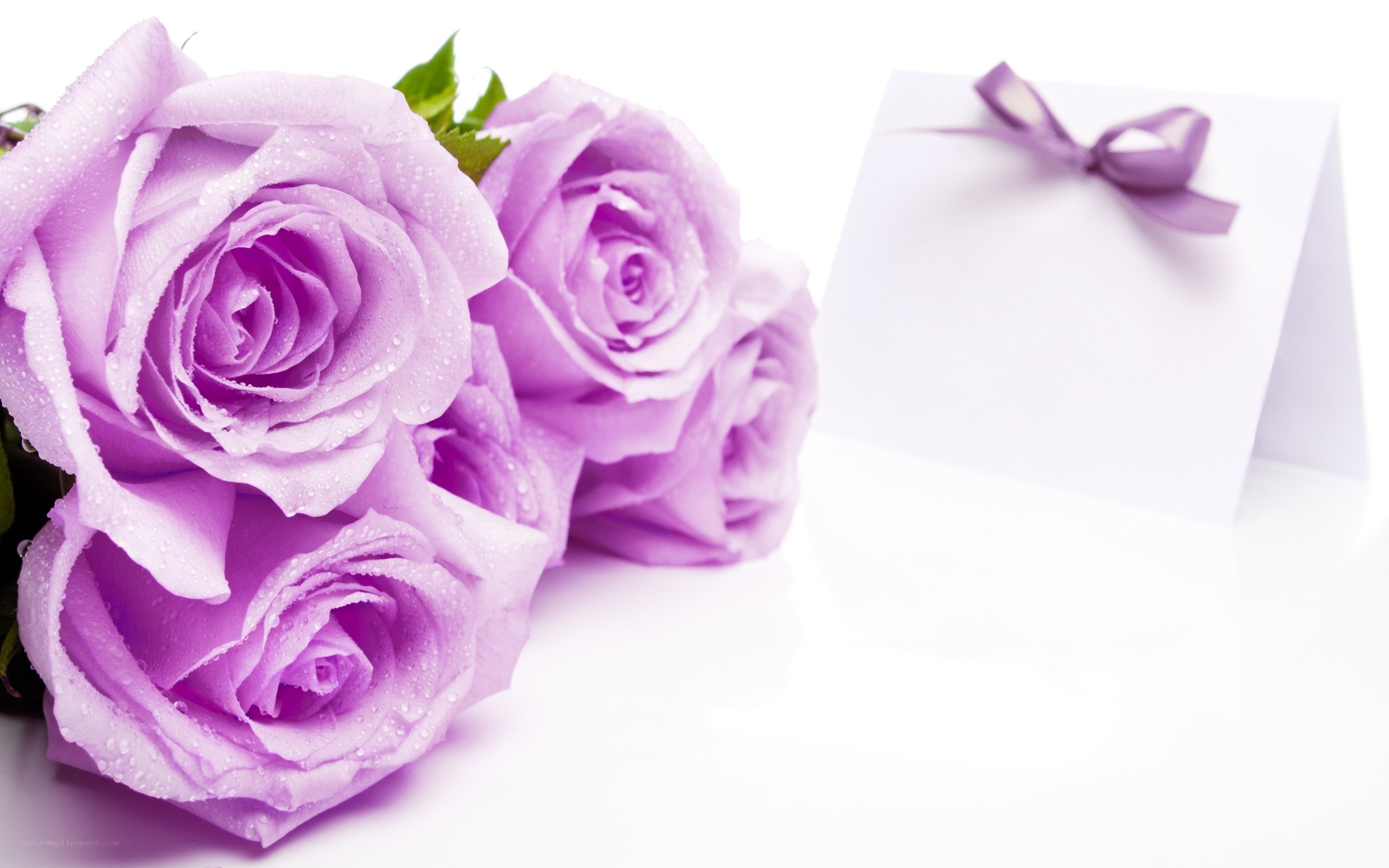 Purple roses with card