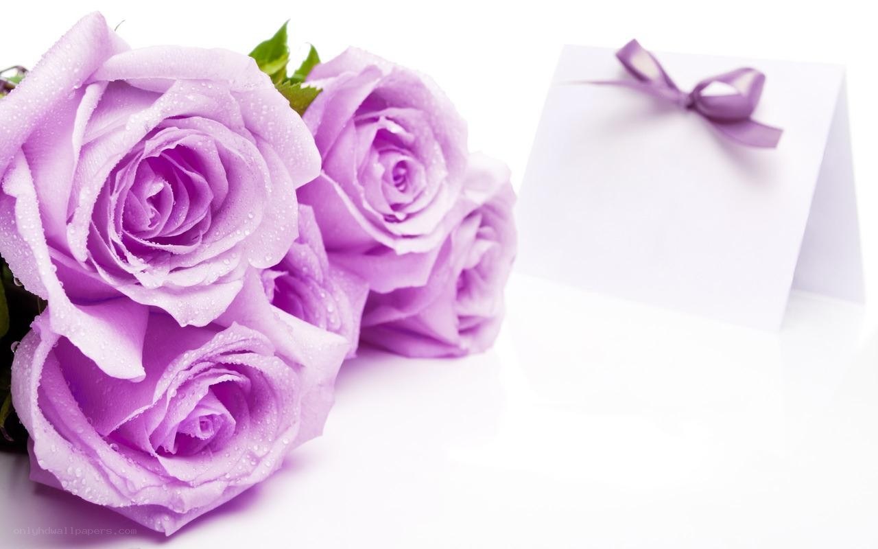 purple roses with card