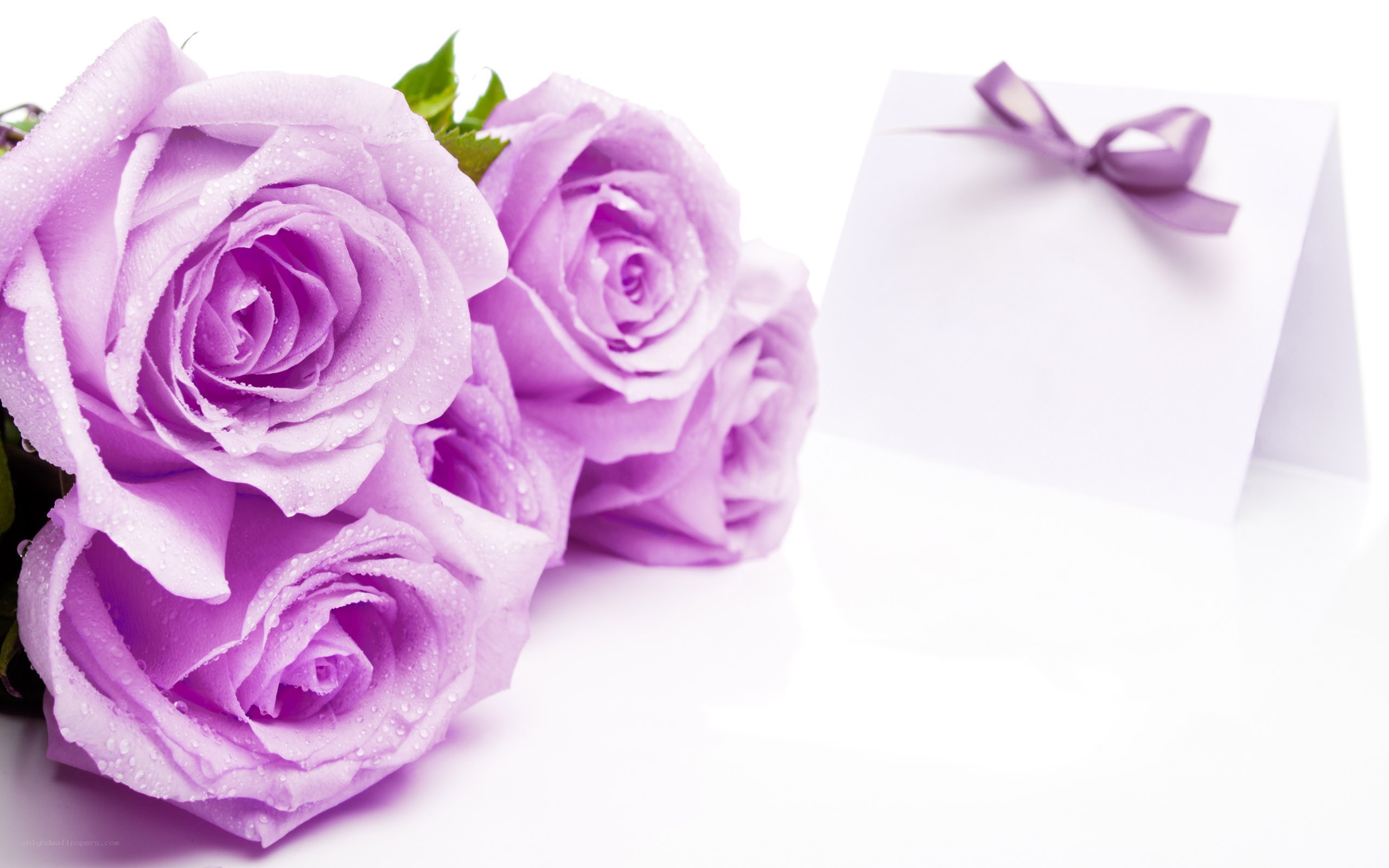 purple roses with card
