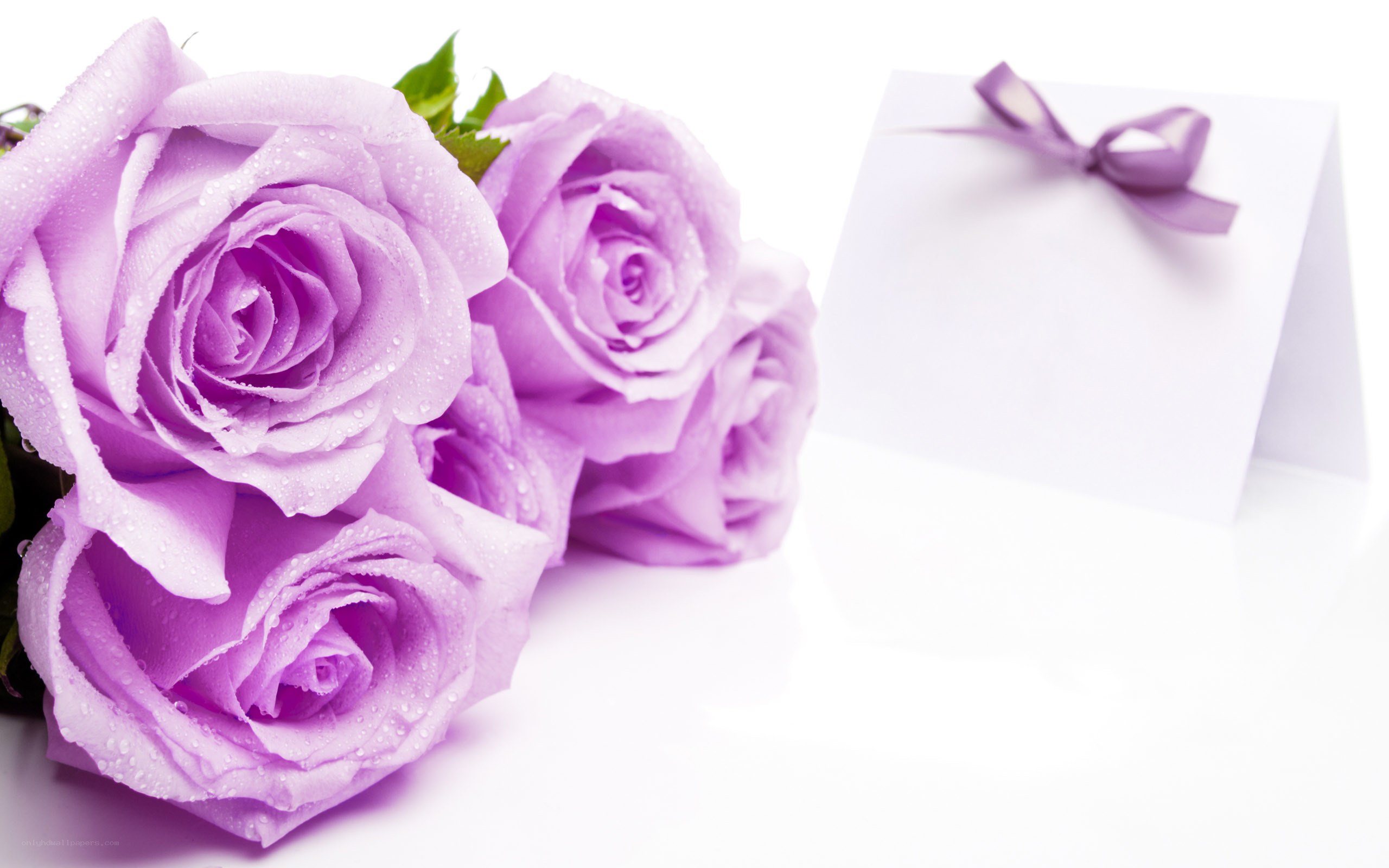 purple roses with card