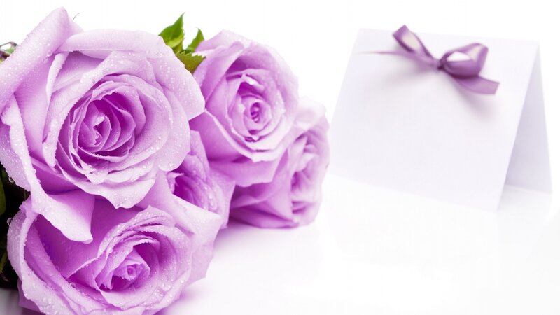 Purple Roses with Card — Calm