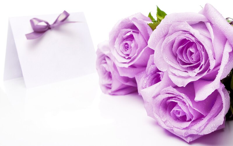 Purple Roses with Card — Serene