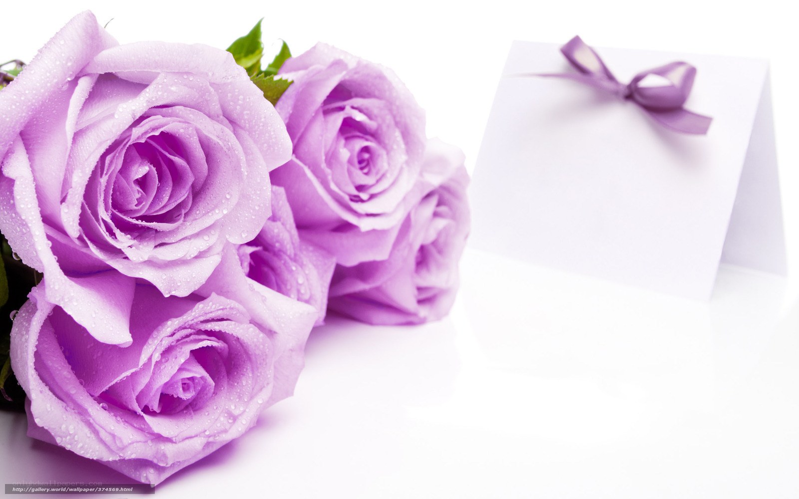 purple roses with card