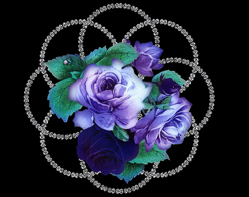 Purple Roses with Green Leaves