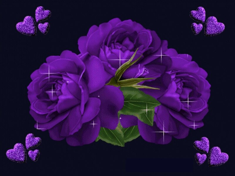 Purple Roses with Hearts