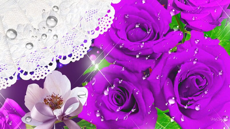 Purple Roses with Lace