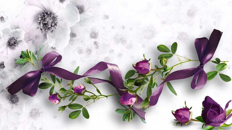 Purple Roses with Ribbons