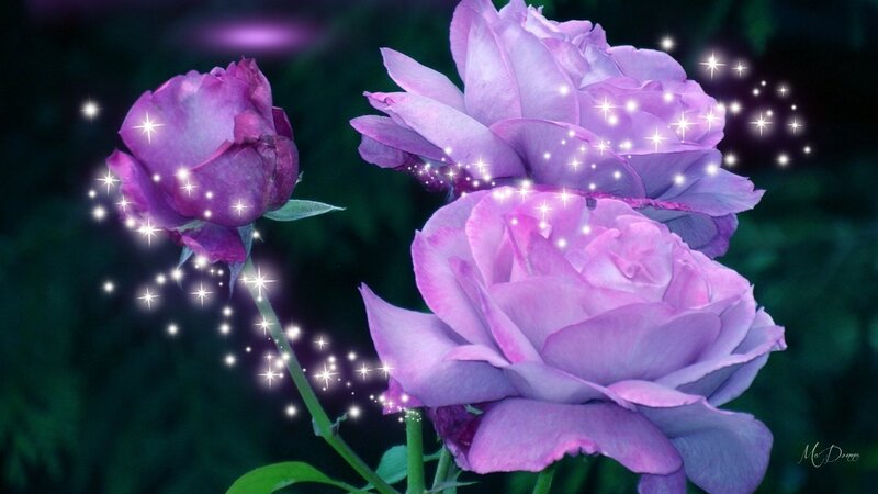 Purple Roses with Sparkles — Magical