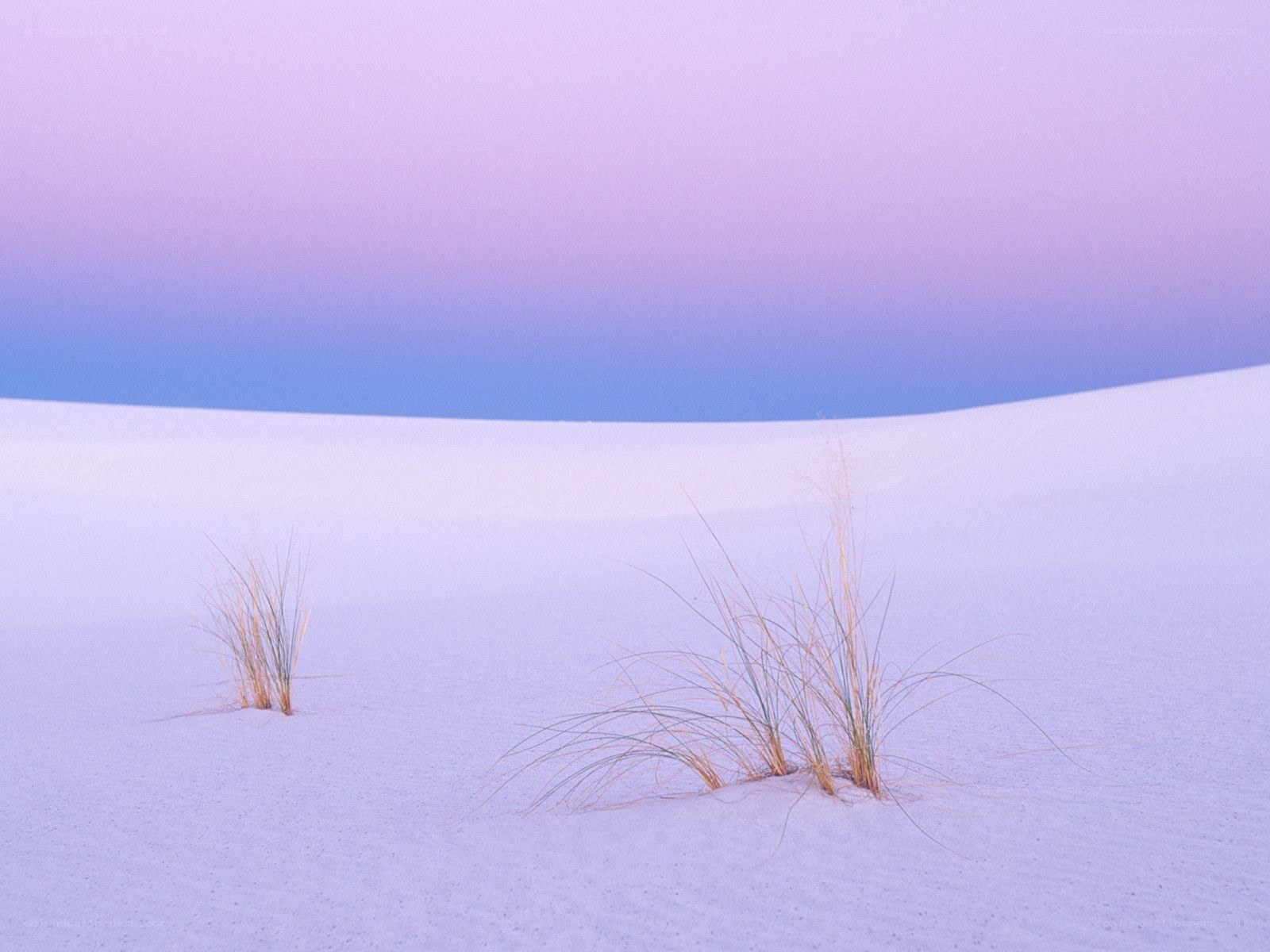 Purple sand dunes at dusk