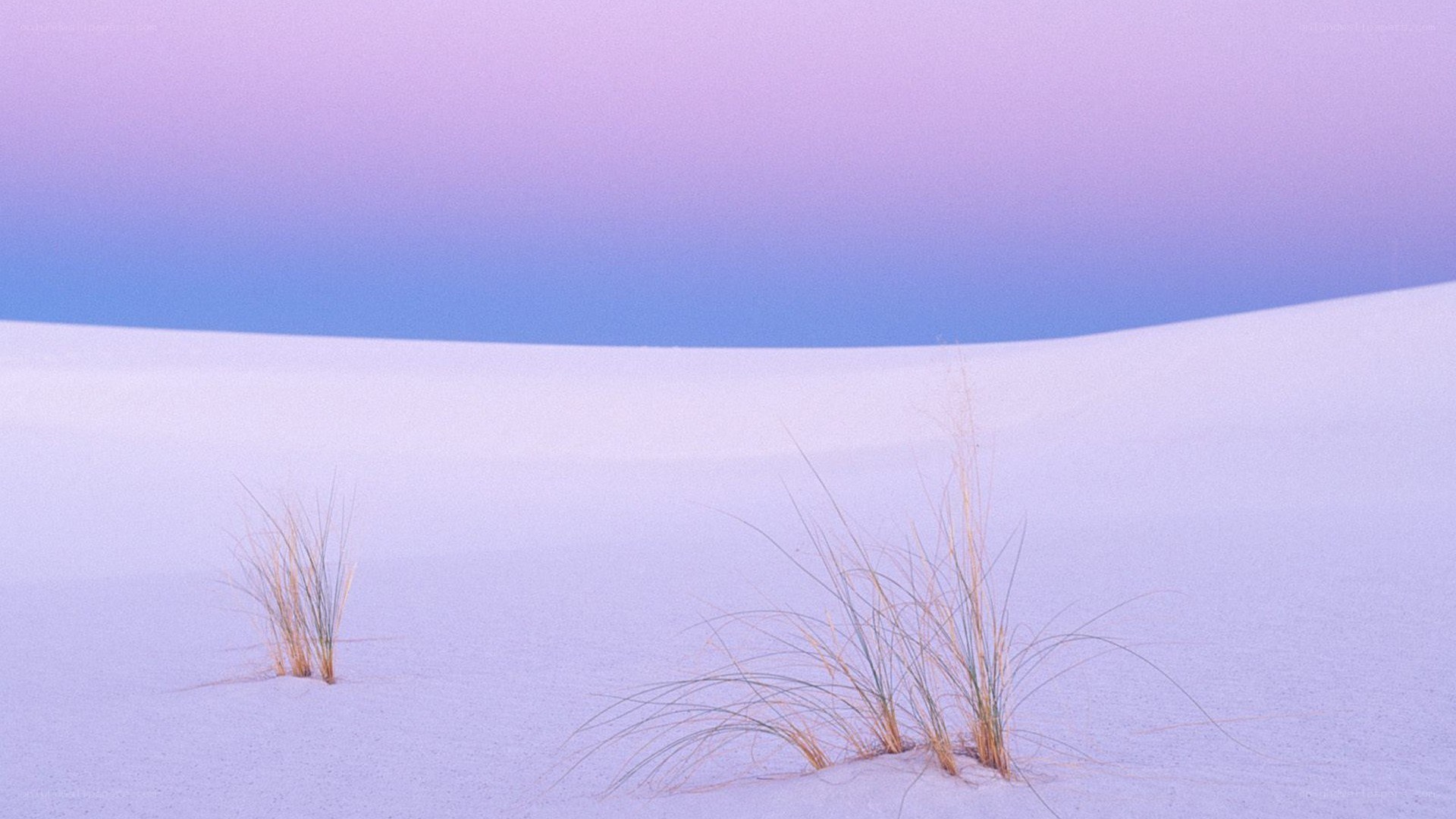 Purple sand dunes at dusk