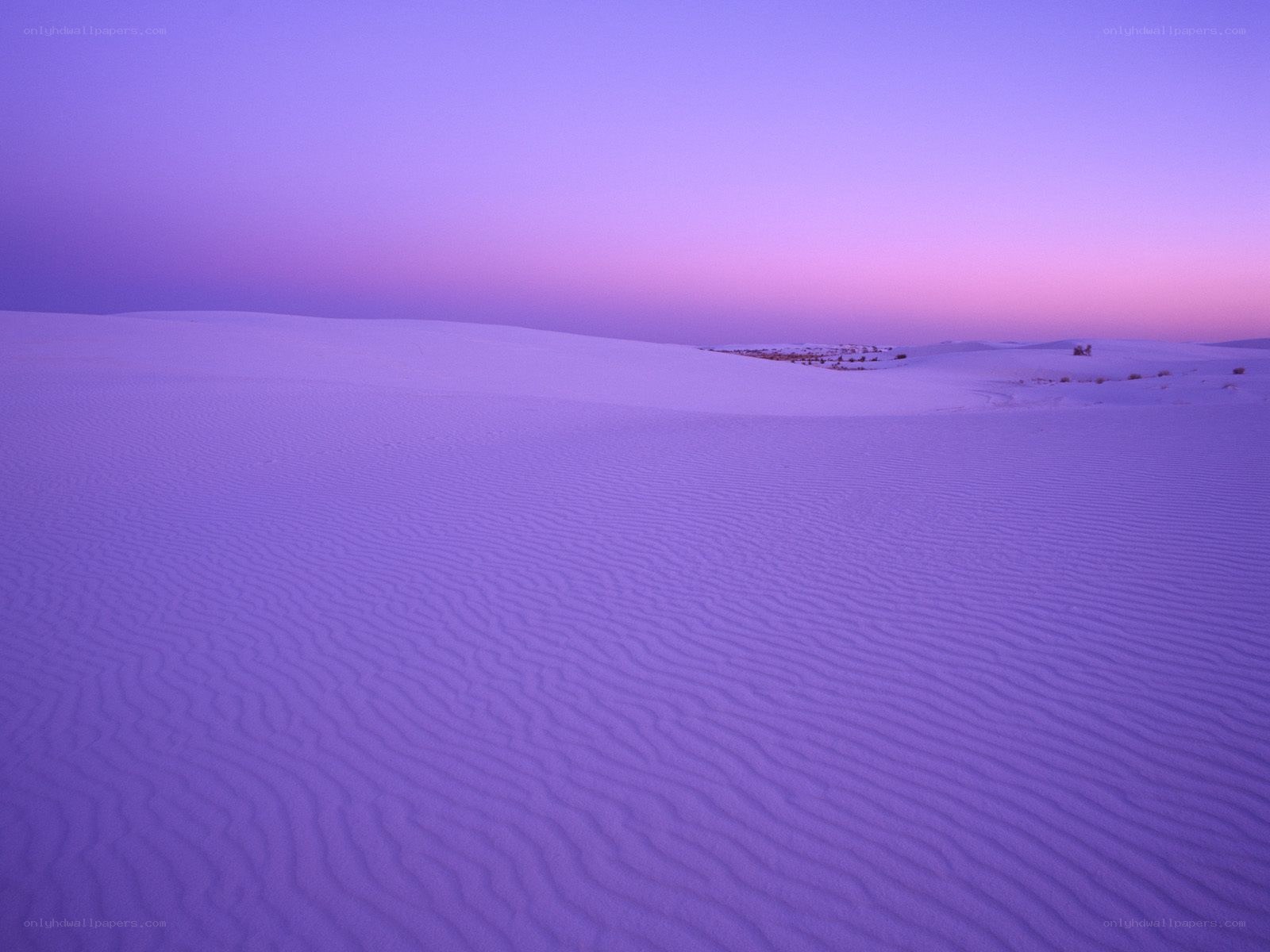 Purple sand dunes at dusk
