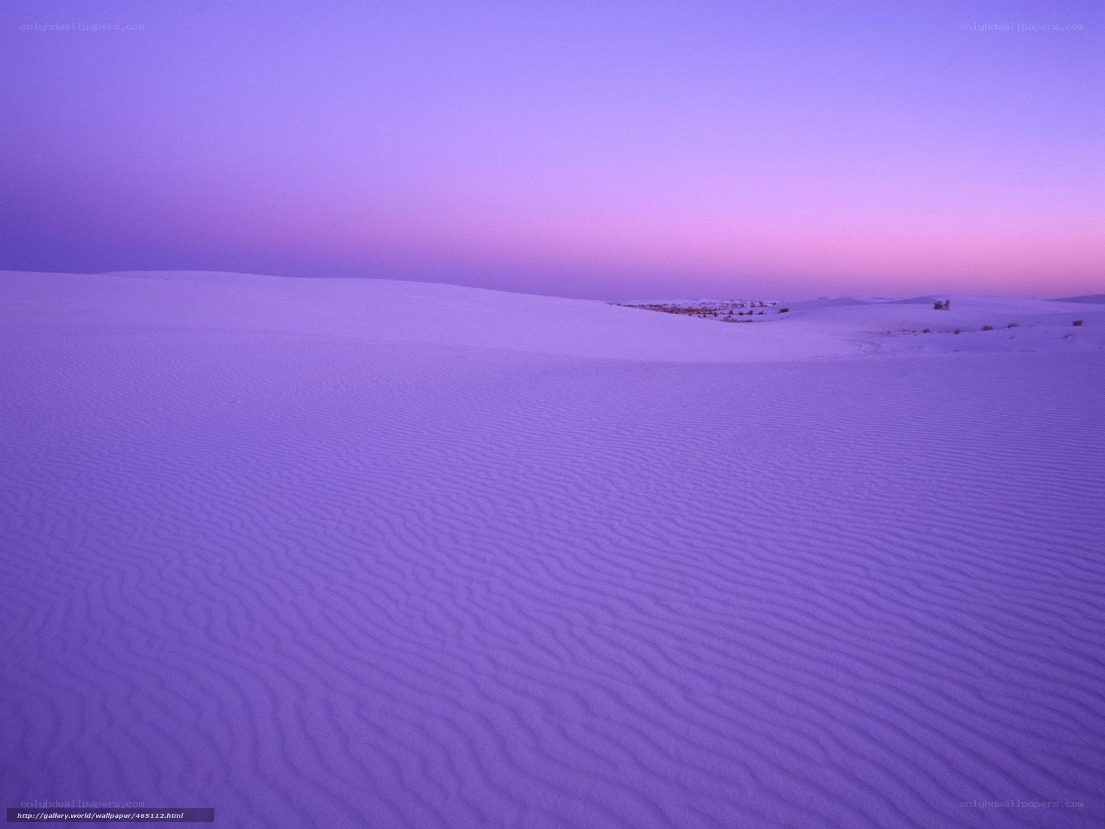 Purple Sand Dunes at Sunset