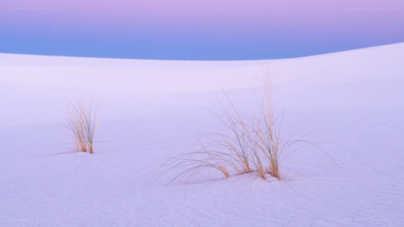 Purple sand dunes with grass