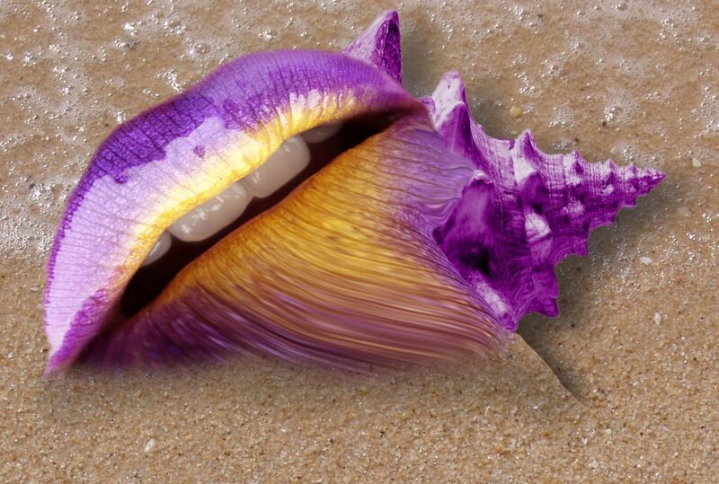 purple shell with lips