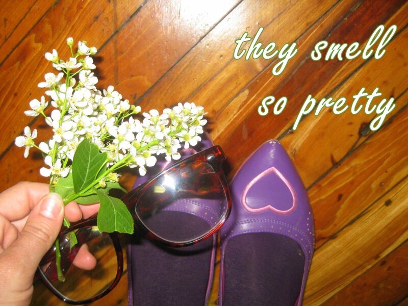 Purple Shoes and Flowers