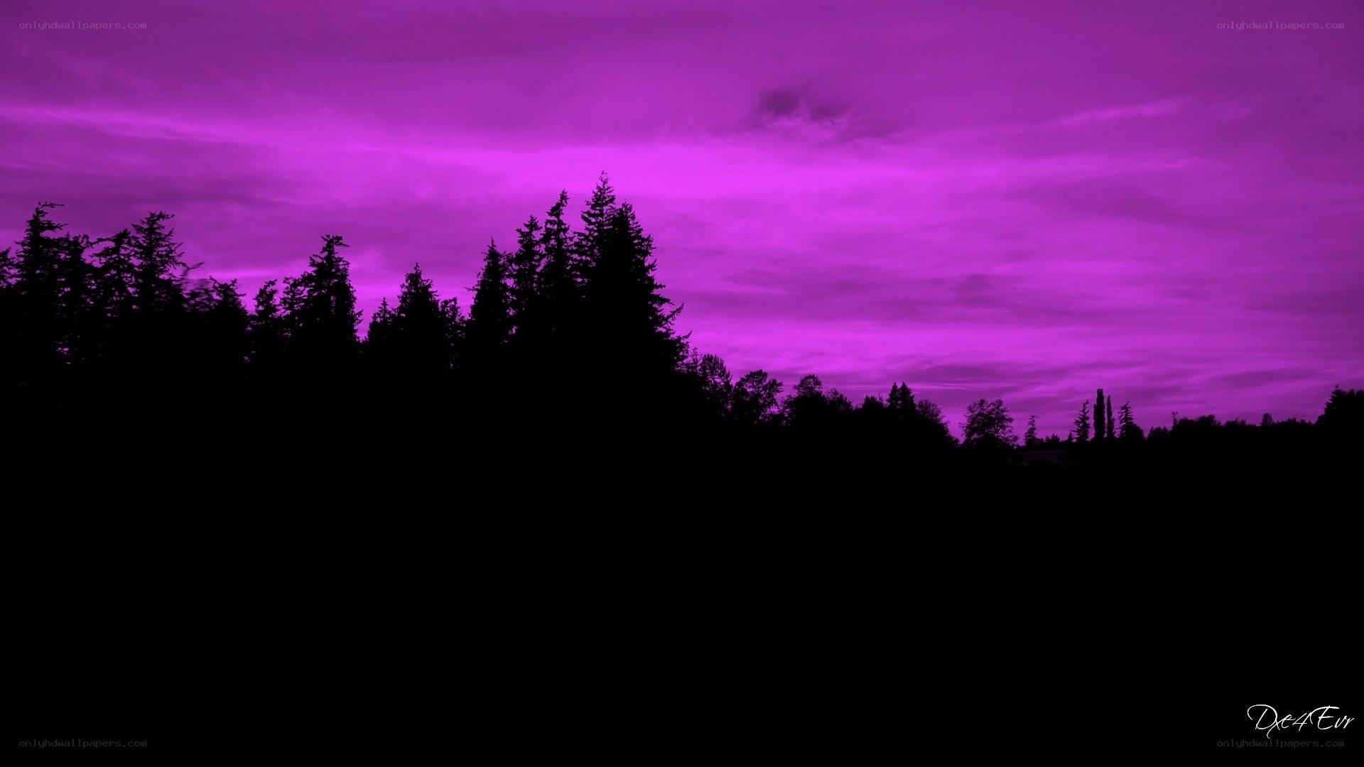 purple sky at dusk