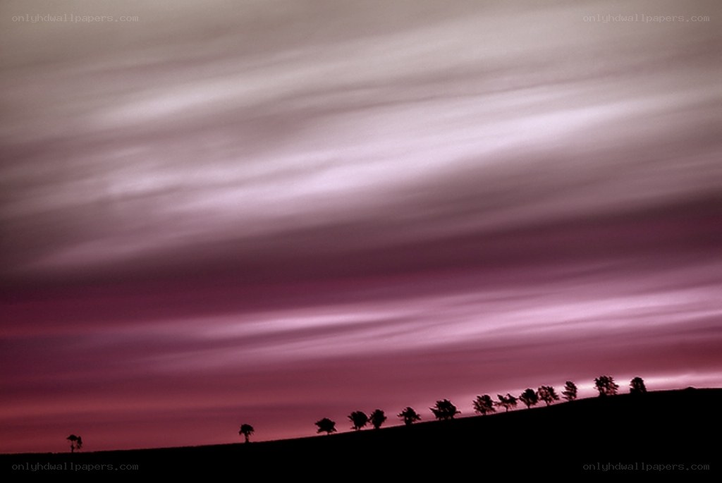 Purple sky at dusk