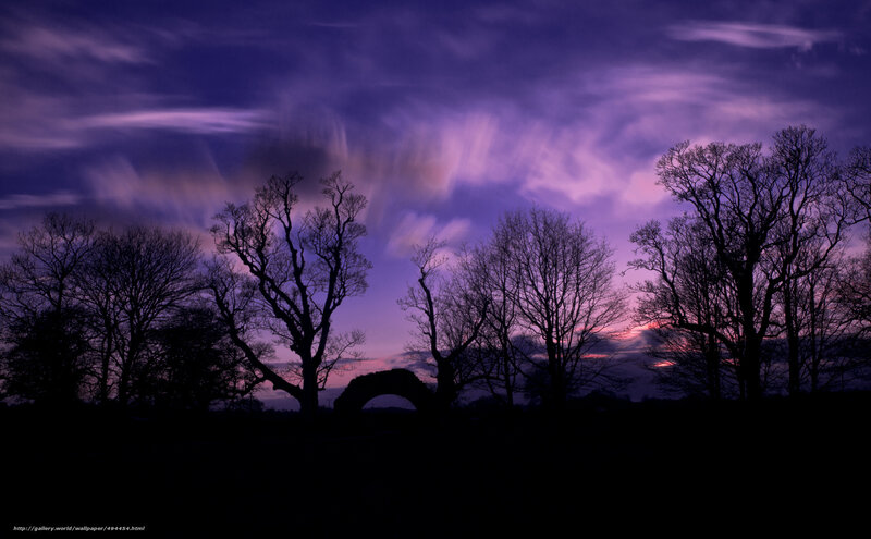 Purple Sky at Dusk