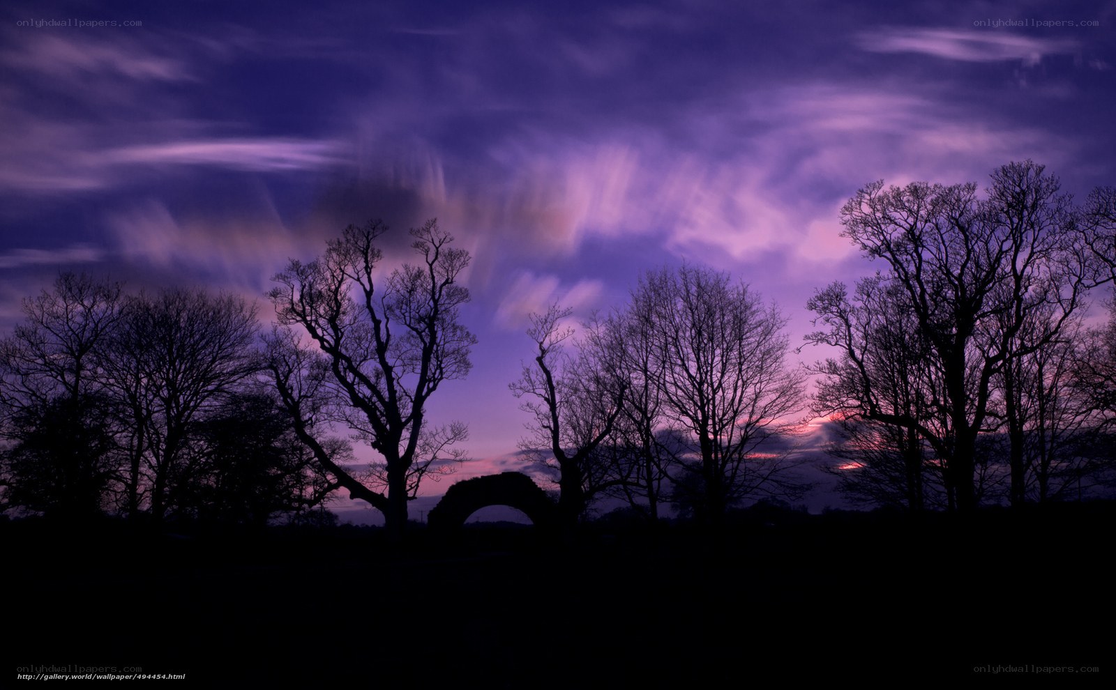 Purple Sky at Dusk