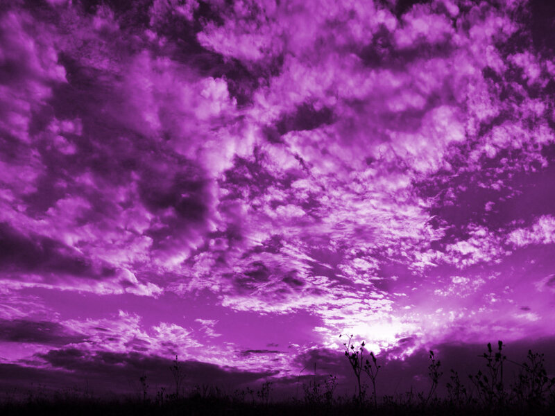 Purple sky at sunset