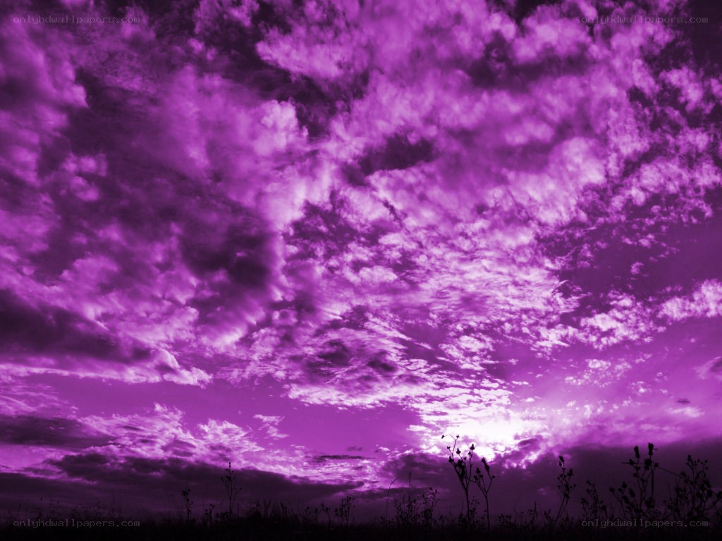 Purple sky at sunset