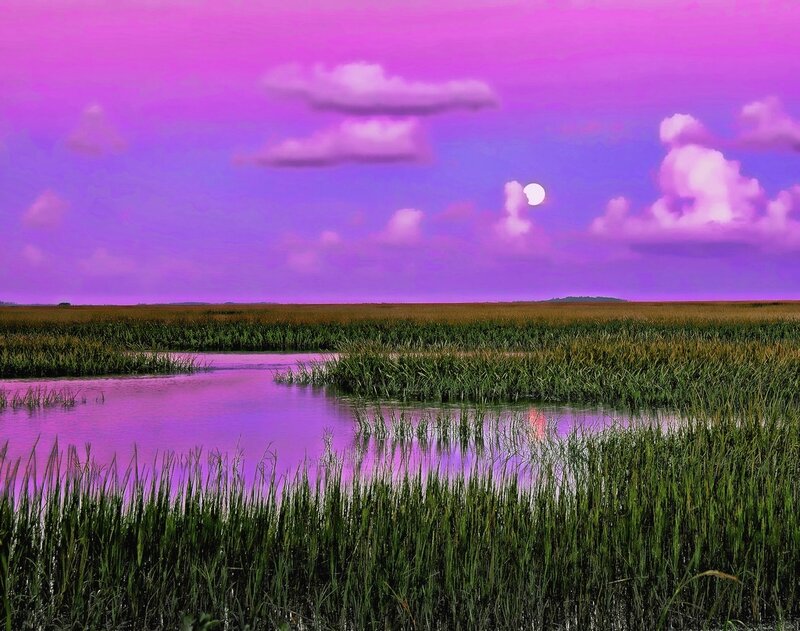 Purple sky marsh landscape