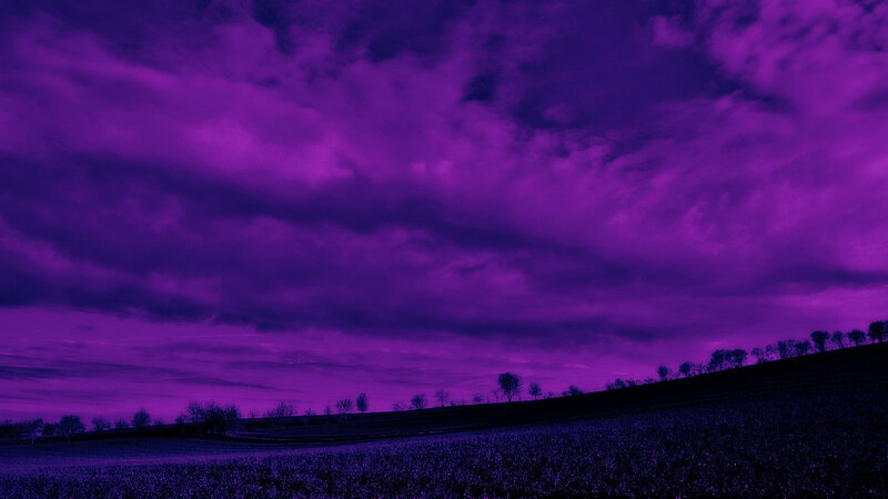 Purple Sky over Field — Dramatic