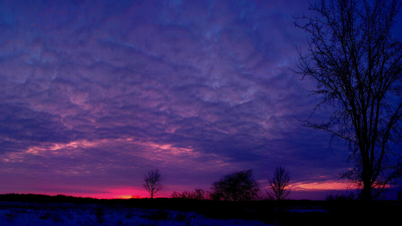 Purple Sky over Field