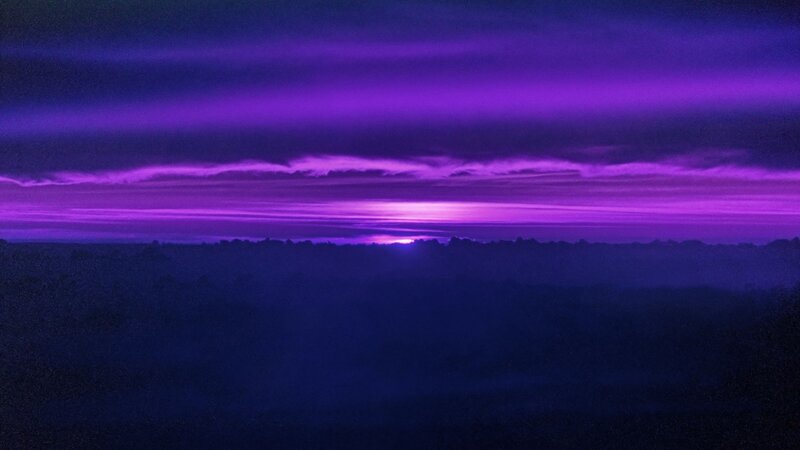 Purple Sky over Forest