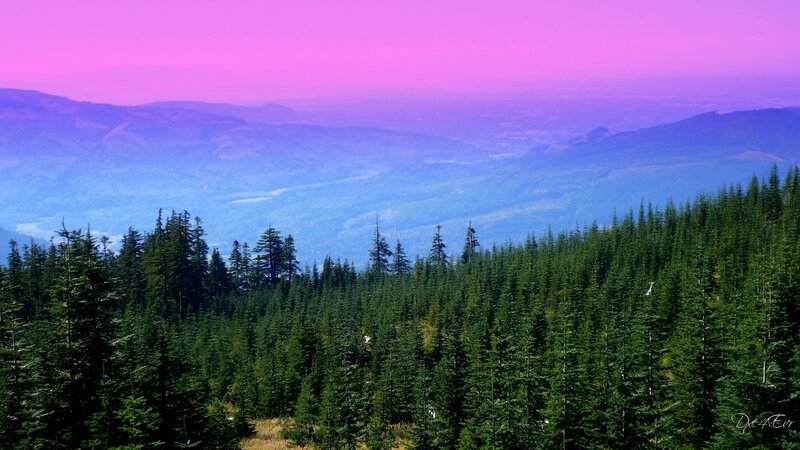 purple sky over forested mountains