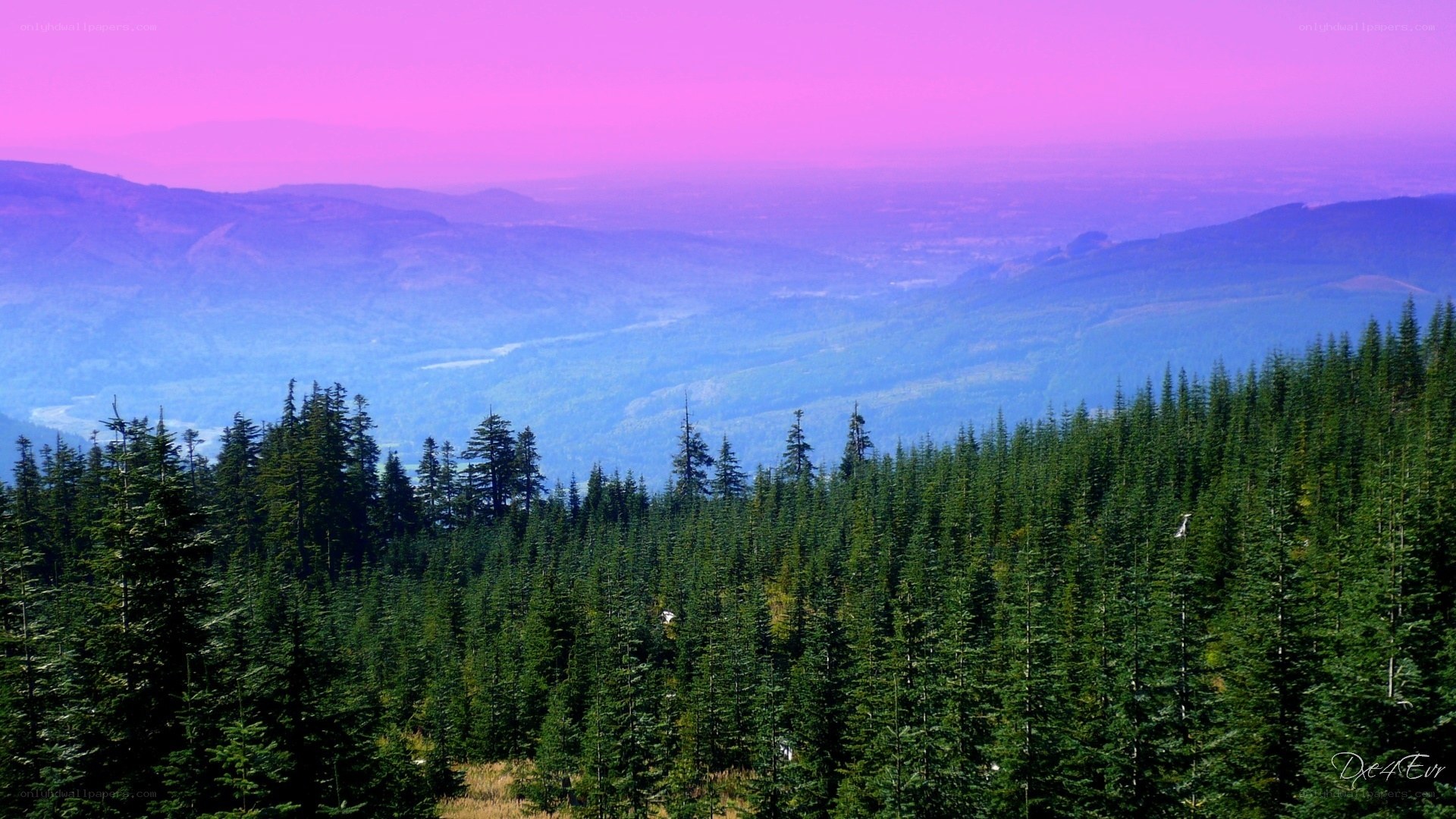purple sky over forested mountains