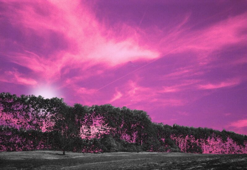 Purple Sky over Trees