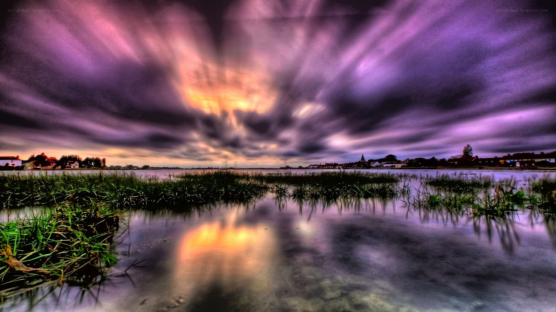 Purple sky over wetlands