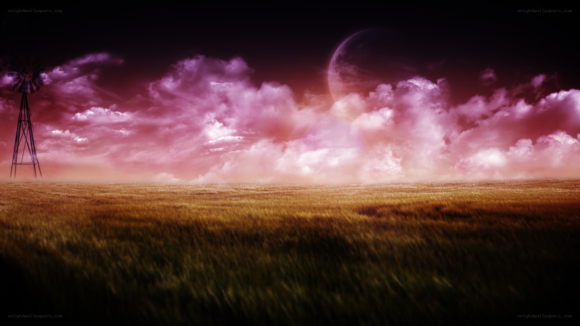 Purple sky over wheat field