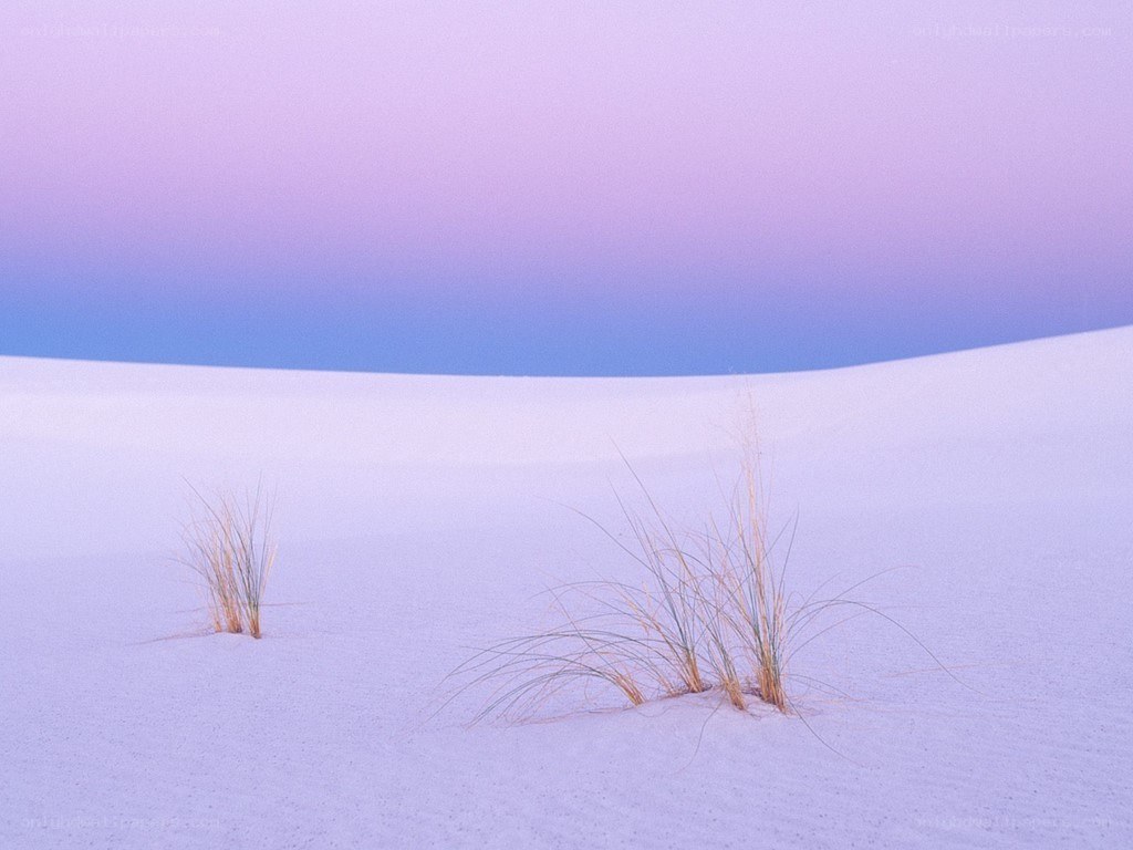 Purple sky over white dunes