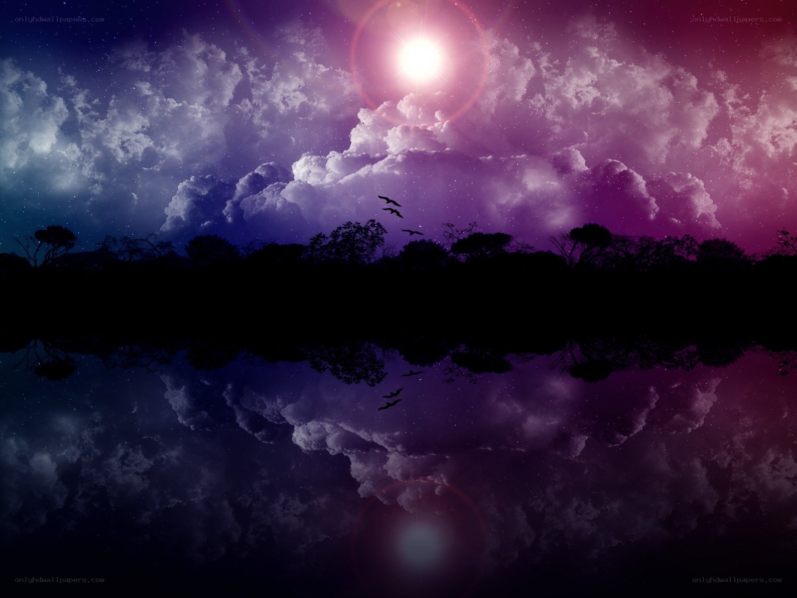 Purple sky with birds and reflection