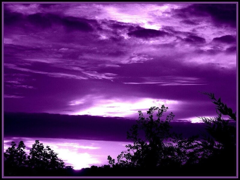 Purple Sky with Trees