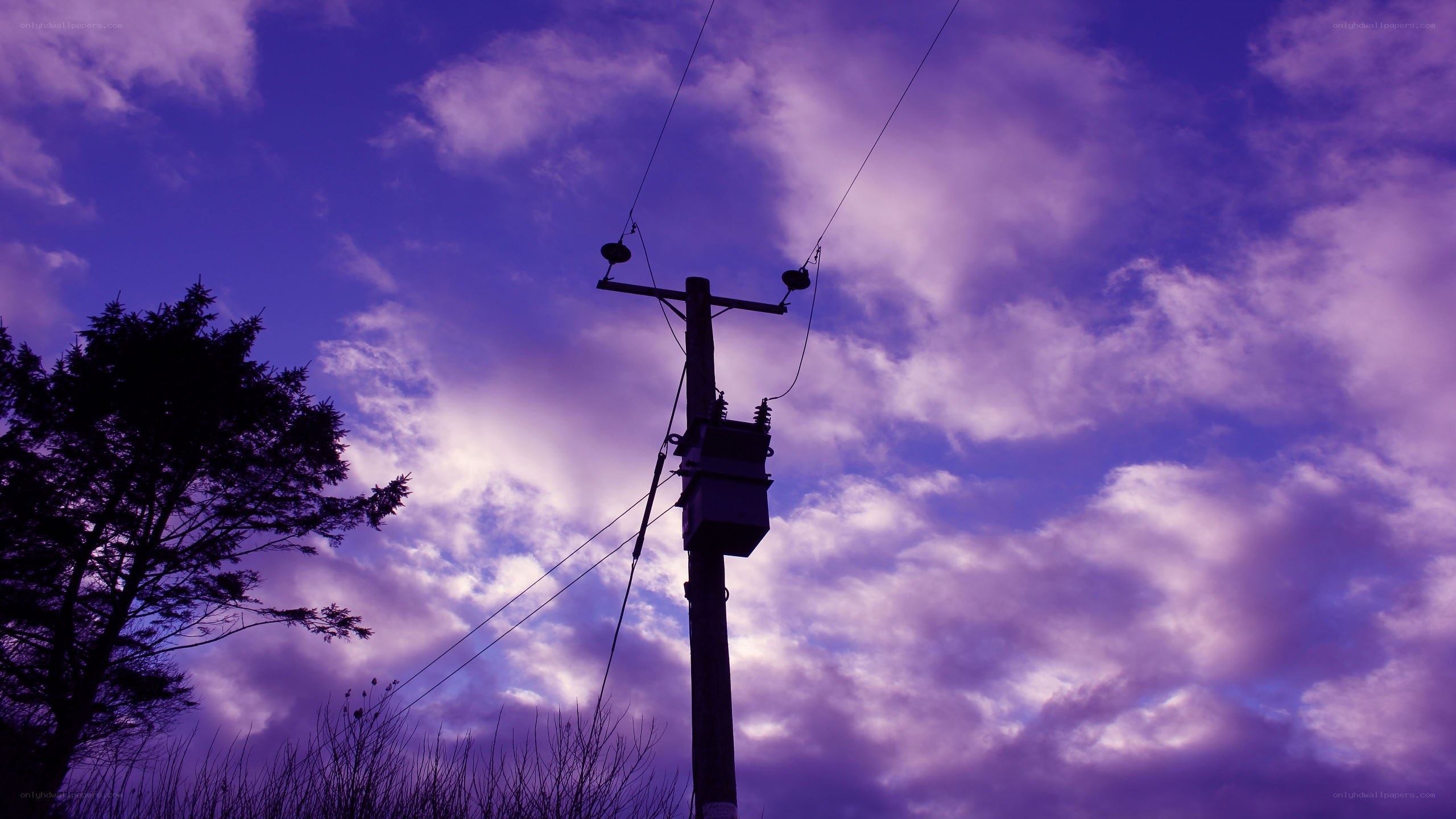 Purple sky with utility pole