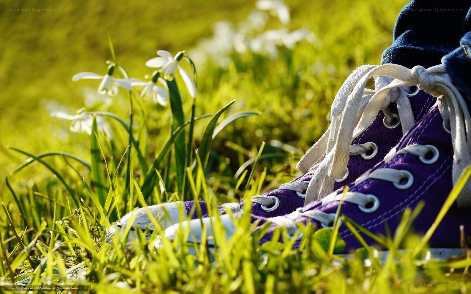 purple sneaker in grass
