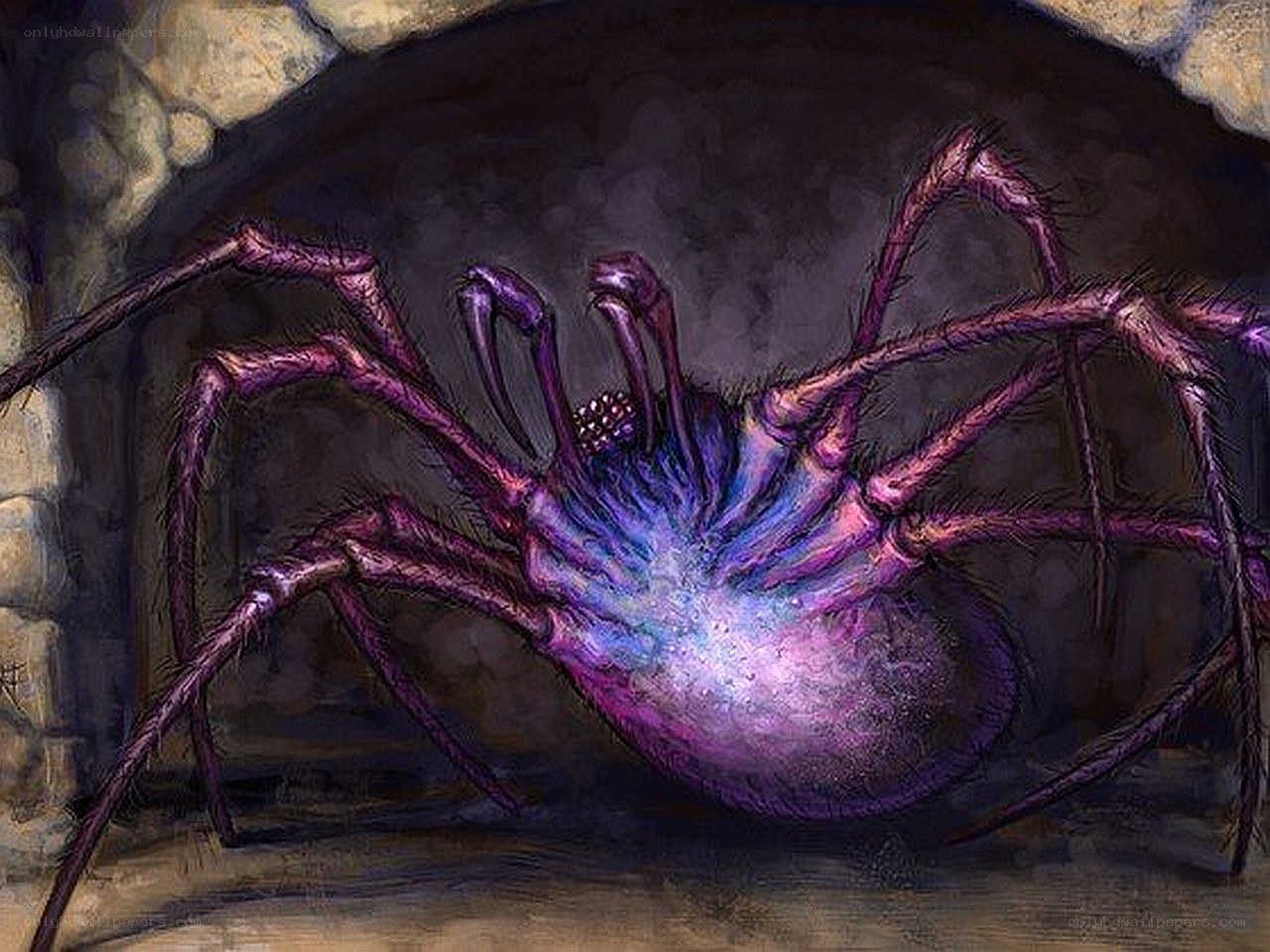 purple spider in a cave