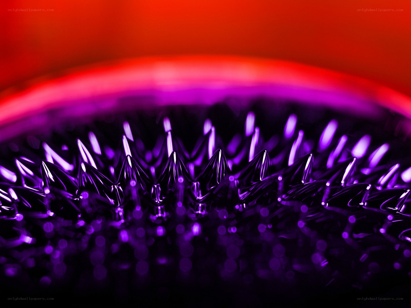 purple spikes on red background