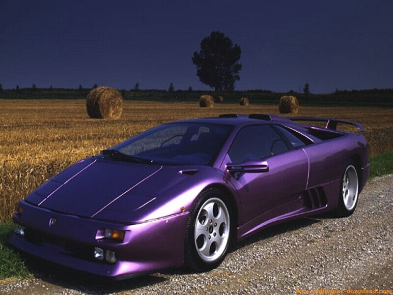 purple sports car in field