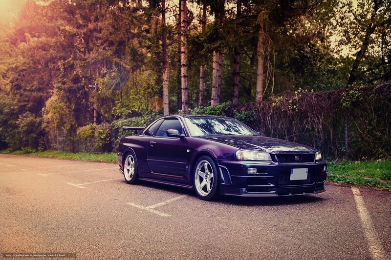 Purple sports car in forest