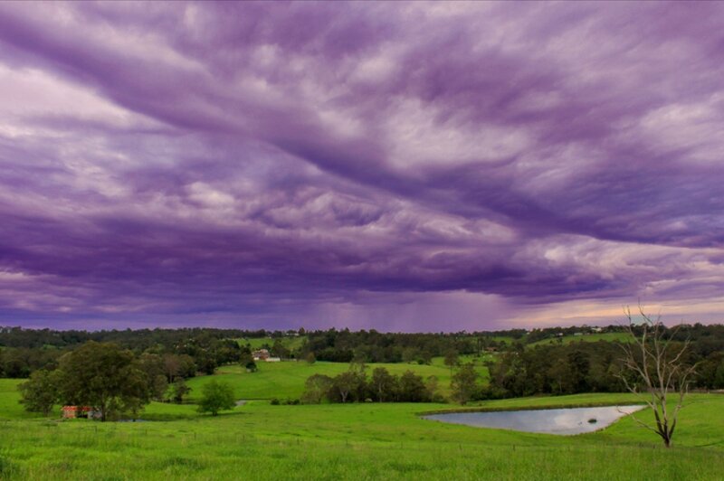 Purple Storm Clouds over Field — Dramatic