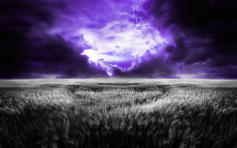 Purple storm over wheat field
