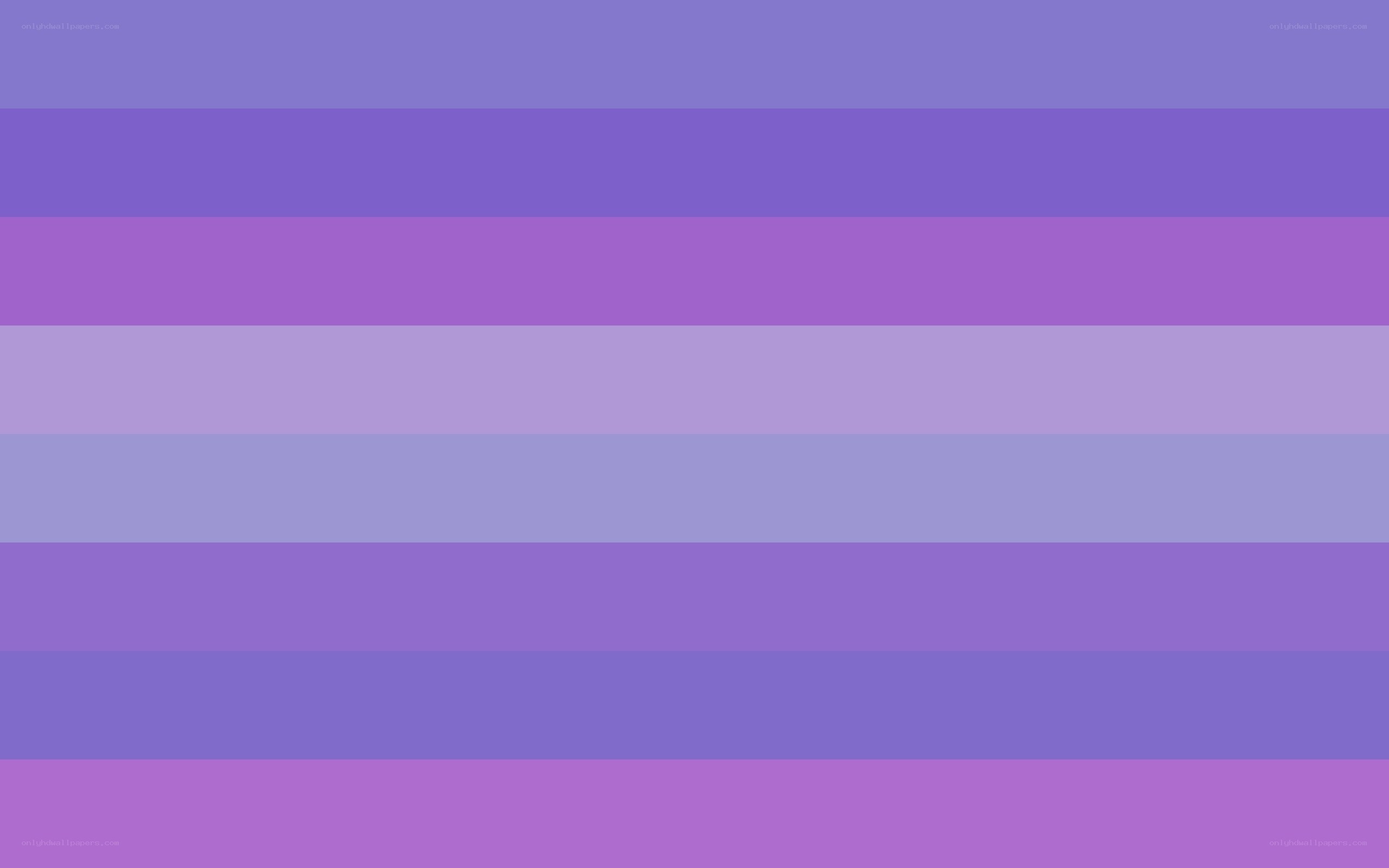 Purple striped flag