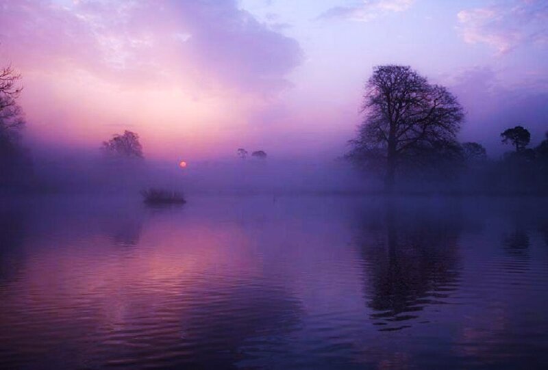 Purple sunrise over misty lake