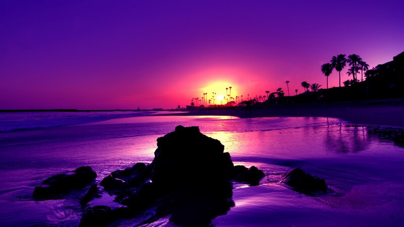 Purple Sunset at Beach — Dramatic, Photograph, Palm Trees, Rocks
