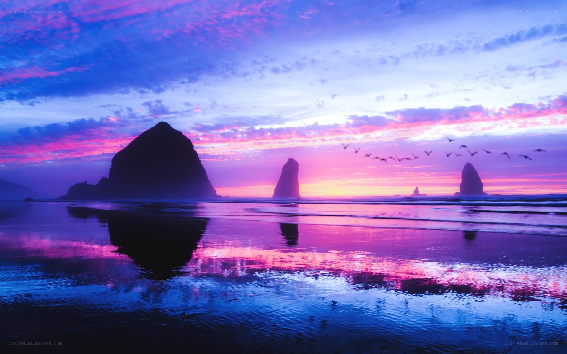 Purple sunset at the beach