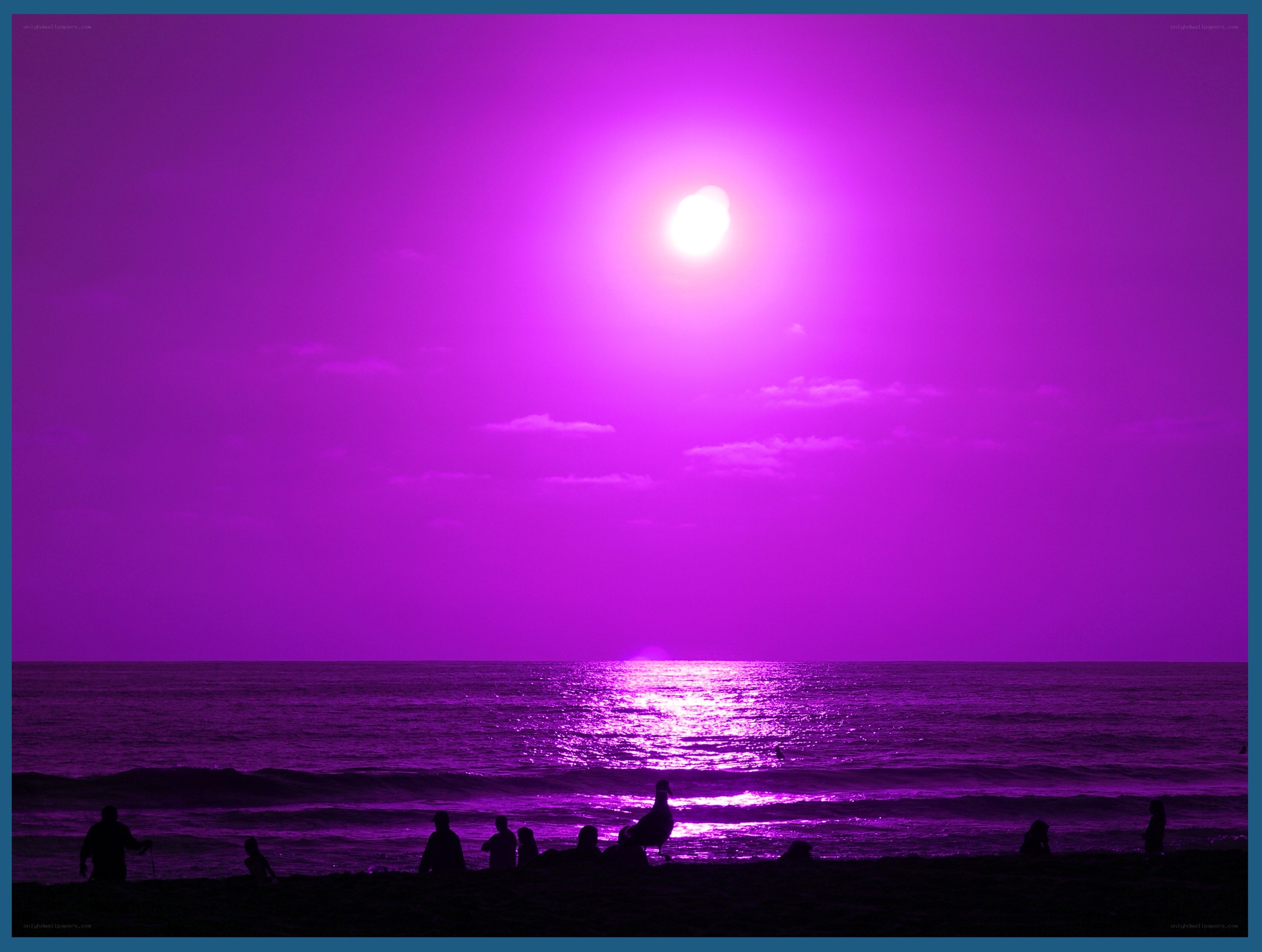 Purple sunset at the beach